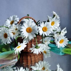 Ромашки
