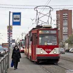 Трамвай жопа