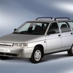 Вазик проснулся