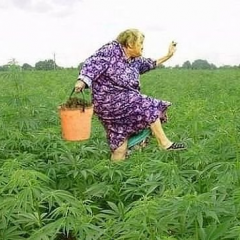 Юрмала