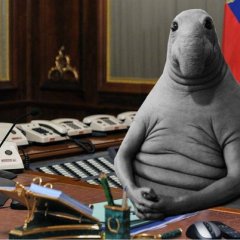 Ждун Везде