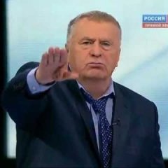 Жирик зигует