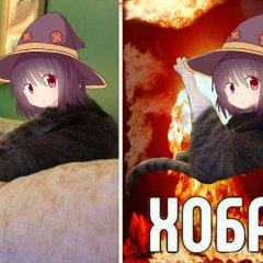 Аниме кот хоба