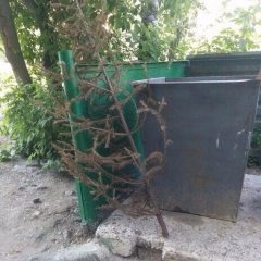 Апавпа