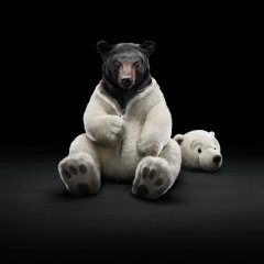Bear in bear