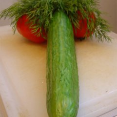 Член