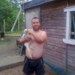 Дима