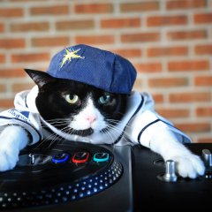 DJ Котэ