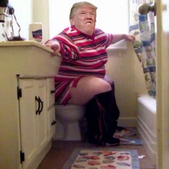 Дональд трамп срет