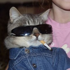 Ганстер