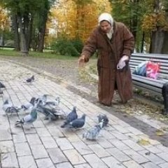ГОЛУБИ