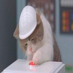 Котейка и кнопка