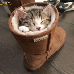Купила валенки надо опробовабь