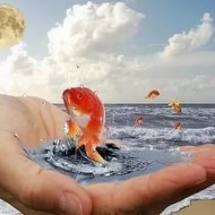 Мечты сбываются