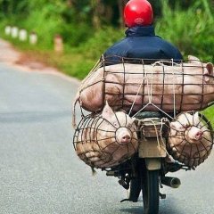 Мотоциклист