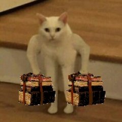 Мяу