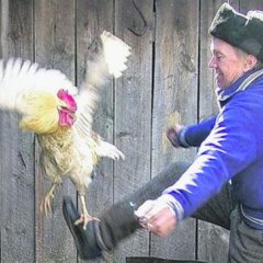 Ол