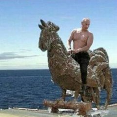 Петух из говна