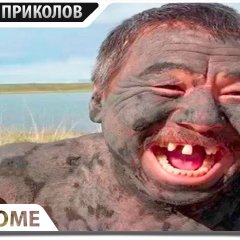 Прикол