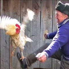 Про