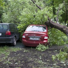 Ураган  в киеве 29 05 2017