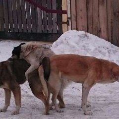 Все сложно