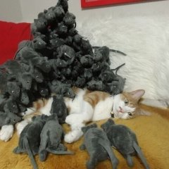 Я И АРОБЛЕМЫ