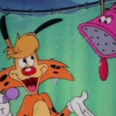 Bonkers