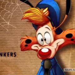 Bonkers