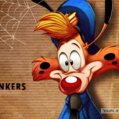 Bonkers