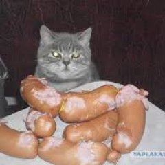 Что не съем то понадкусываю