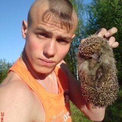 Даже ежик осознает ущербность этой прически