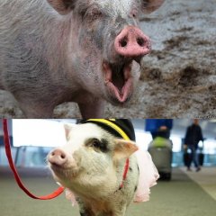 До начала отношений
