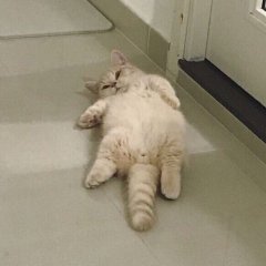 Когда а