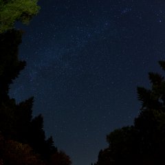 Летние ночи