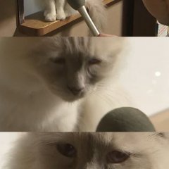 Материться можно