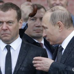 Медведев под дождем