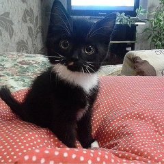 Мое лицо