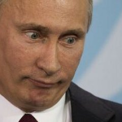 Морда путина