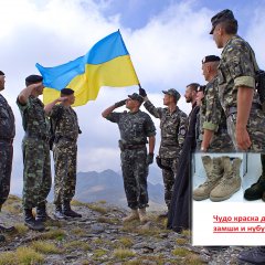 Он мог