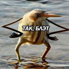 Ооо
