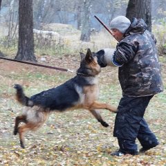 Опасный преступник Джейкоб