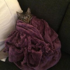 Опп