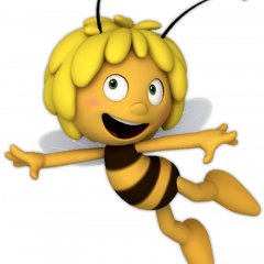 Пчела мая