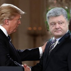 Петя и дональд