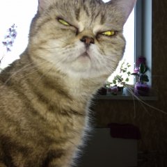 Презрение