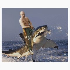 Путинпрекрати