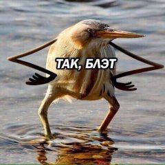 ТАК БЛЭТ