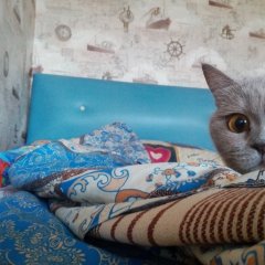 Ты чё-то спросил