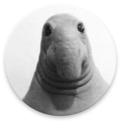 Ждун